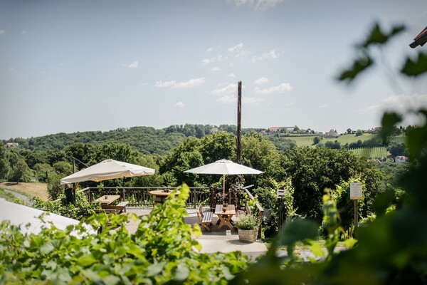 Terrasse Weingut Pfeifer | © Alexander Koch