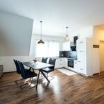 Photo of Apartment, shower, toilet, terrace | © Weingut Birnstingl