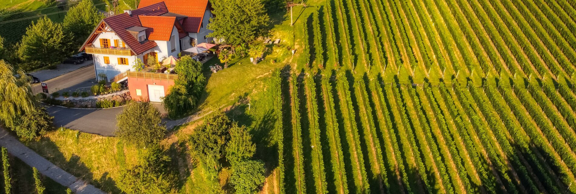 DJI_0044_AuroraHDR-edit