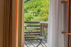 Weingut Albrecher vlg. Sraka Blick Weingarten