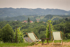 weingut_deutschmann_vlg__smonde_ausblick