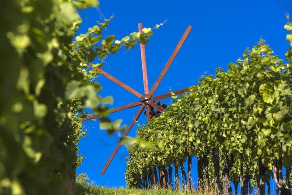 Weingut Dreisiebner Stammhaus_1 | © Weingut Dreisiebner Stammhaus