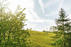 Aussicht Gästehaus_5