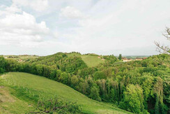 Aussicht Winzerhau