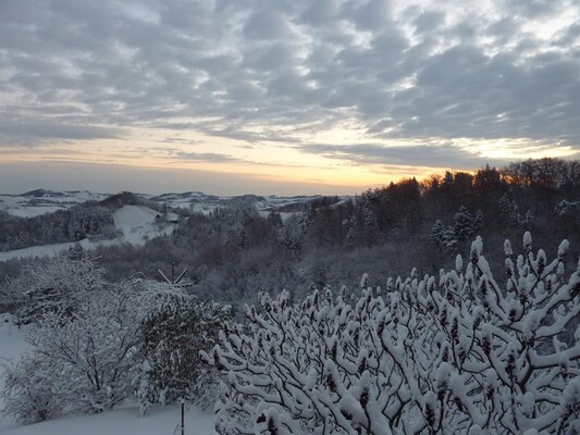 Marko der Weinstricker Winterlandschaft | © Marko der Weinstricker | Fam. Marko