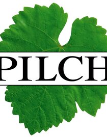 Weingut Pilch | © Weingut Pilch | Marianne Pilch | Marianne Pilch | © Weingut Pilch | Marianne Pilch