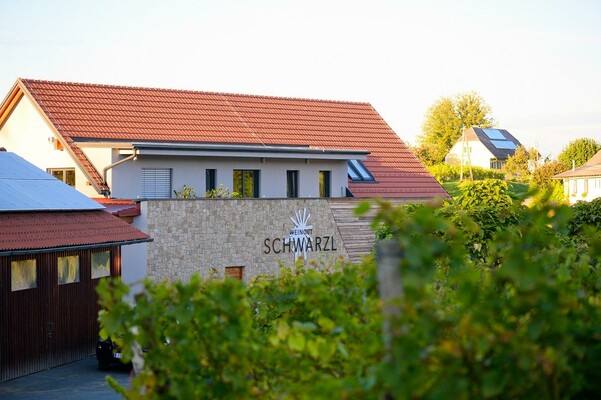 Weingut Schwarzl Hof | © Weingut Schwarzl | Charlotte Schwarzl