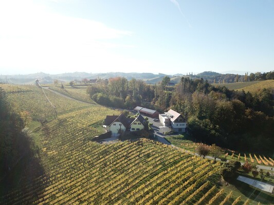 Weingut Schwarzl Luftaufnahme | © Weingut Schwarzl | Charlotte Schwarzl