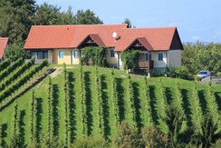 Ferienhaus Süd Ausblick