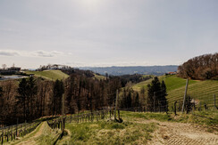 KOERBLER-Photo-STERNAT-Zimmer-164