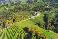 Betriebsweingartenfoto