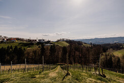 KOERBLER-Photo-STERNAT-Zimmer-165