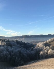 Weingut Wieser Winterlandschaft | © Weingut Wieser | Nadine Wieser | Nadine Wieser | © Weingut Wieser | Nadine Wieser