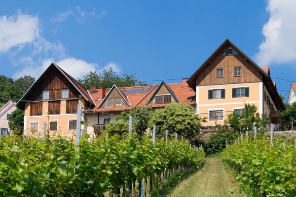 Weingut Wolfgang Lang | © Weingut Wolfgang Lang / Flicker