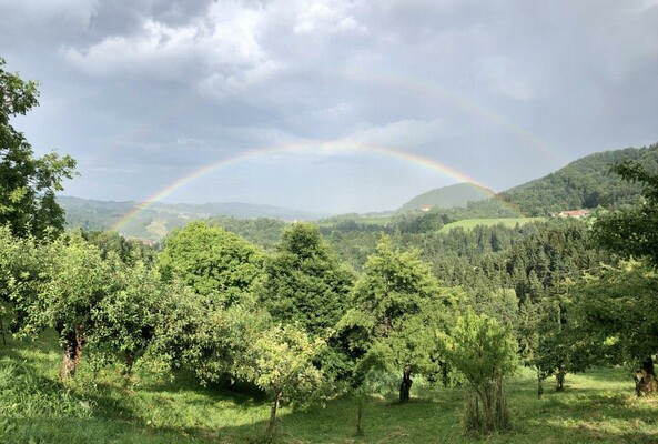 Weinstöckl am Krennhof Regenbogen | © Weinstöckl am Krennhof | Christine Börger