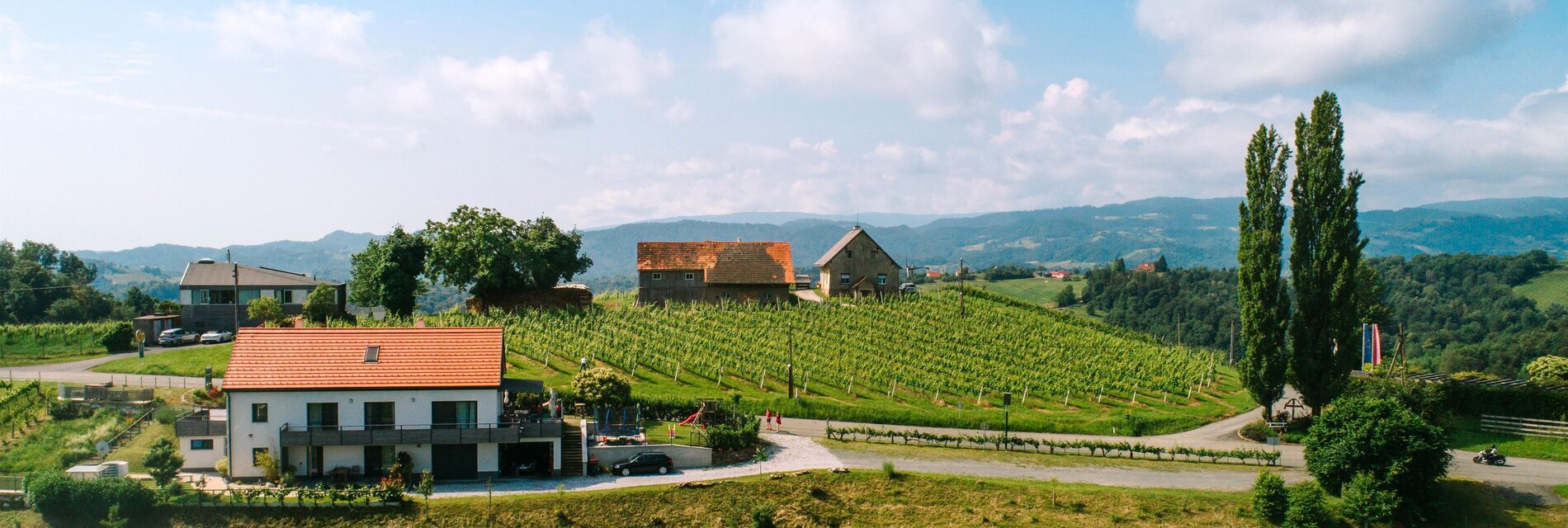2024-06-08_005_DJI_P4_ Weingut Pongraz - Elke und