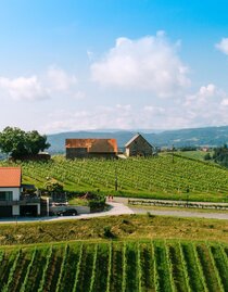 2024-06-08_005_DJI_P4_ Weingut Pongraz - Elke und  2024-06-08_005_DJI_P4_ Weingut Pongraz - Elke und