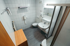 Wellness Apartments Kanzler, Single Apartment, Bad