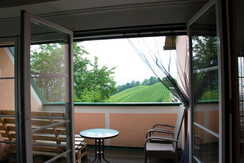 WieserWeine_LoggiaAusblick