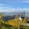 Photo of Holiday home, bath, toilet, 2 bed rooms | © Winzerhaus Eckberg