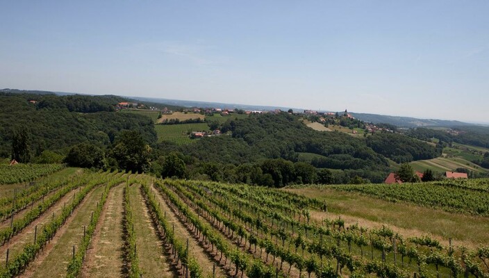 Ausblick nach St. Anna am Aigen | © Winzerzimmer Scharl