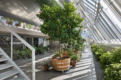 Pogusch_Glashaus_Innen_01