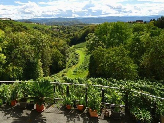 Ausblick | © Weingut Wohlmuth