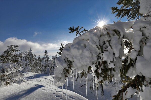 Winterlandschaft_Jakob_Hiller | © Rothwangl