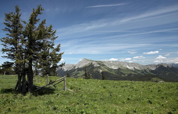 landschaft_hiller | © Rothwangl