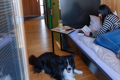 Einzelbett Apartment