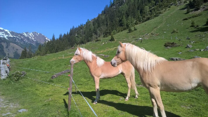 WP_20190604_09_24_31_Pro