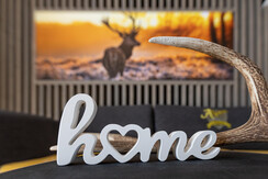 Alpenlodge, Bad Mitterndorf, Home