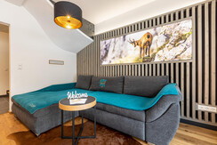 Alpenlodge, Bad Mitterndorf, Wohnzimmer