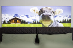 Alpenlodge, Bad Mitterndorf, Kuh