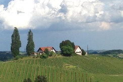 Altes Herrenhaus Ausblick