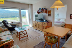 Wohn-Schlafraum Schlafcouch TV Essbereich