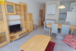 Wohn-Schlafraum Schlafcouch TV Essbereich