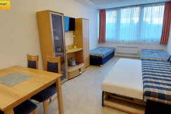 Wohn-Schlafraum Essbereich Schlafcouches TV