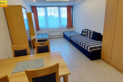 Wohn-Schlafraum Essbereich Schlafcouches TV