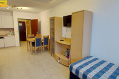 Wohn-Schlafraum Essbereich Schlafcouches Küche