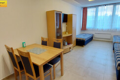 Wohn-Schlafraum Essbereich Schlafcouches TV