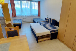 Wohn-Schlafraum Essbereich Schlafcouches TV