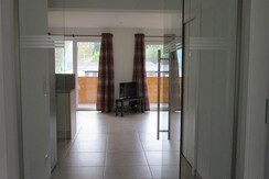 View from hall into living area