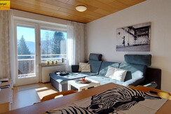 Wohn-Schlafraum Schlafcouch TV Essbereich