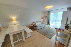 Wohn-Schlafraum Essbereich TV