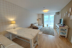 Wohn-Schlafraum Essbereich TV