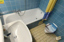 Badezimmer Badewanne Dusche WC