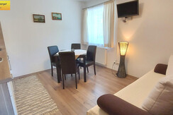 Wohn-Schlafraum Küchenzeile Couch