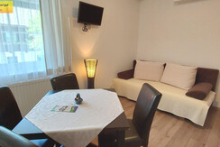 Wohn-Schlafraum TV Couch