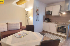 Wohn-Schlafraum Doppelcouch Essbereich Küchenzeile